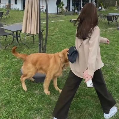 华丽的假期