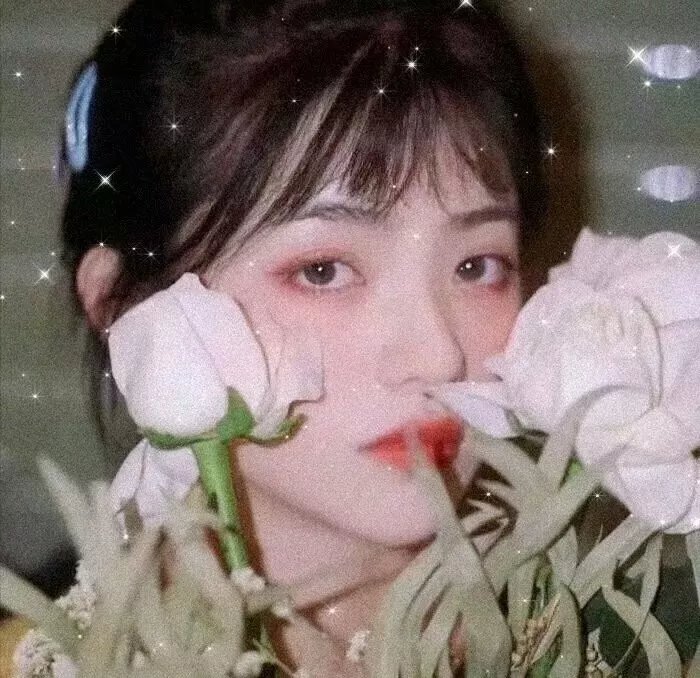 仙君有劫